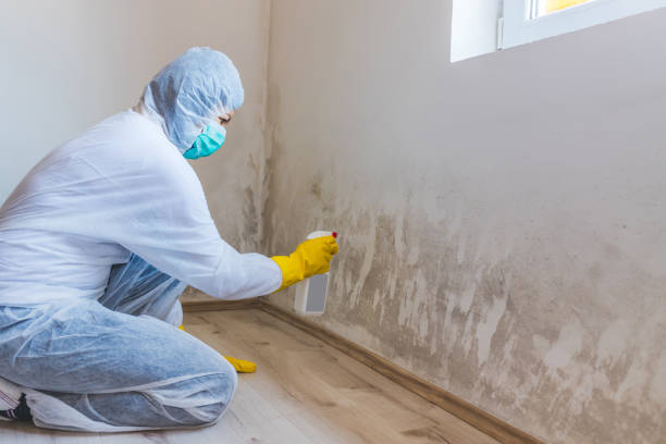 Bathroom Mold Removal assessment in Algonquin bathroom